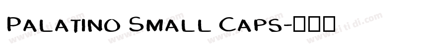 Palatino Small Caps字体转换